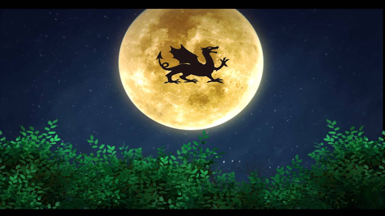 うらたぬきとあほの坂田がDragon Night を歌ってみた。 - YouTube