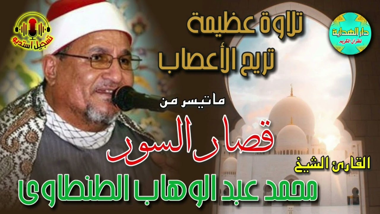 الشيخ محمد عبدالوهاب الطنطاوي ماتيسر من قصار السور