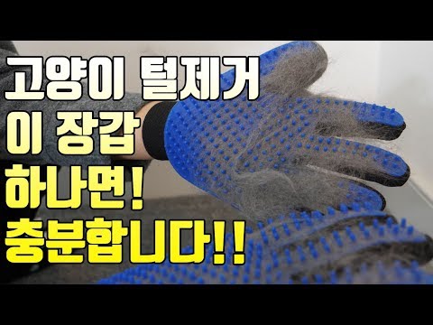 고양이 죽은 털제거 이 장갑 하나면 충분합니다! Pet Deshedding Glove