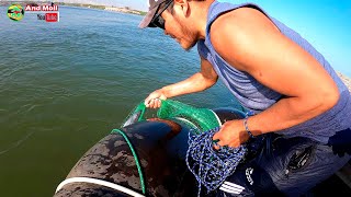 ASÍ SE PESCAN LISAS CON BOTE Y ATARRAYA - Técnicas de pesca