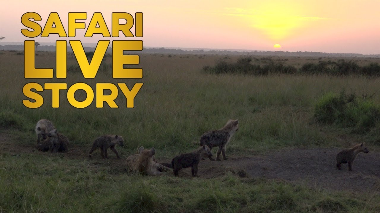 explorer 2 The North Clan Hyenas