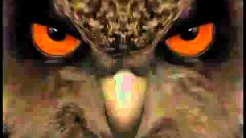 EagleEyes op de Smartphone voor AVTECH