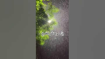 ان موعدهم الصبح اليس الصبح بقريب الآية81 من سورت هود تلاوي الشيخ ماهر المعيقلي #حالات_واتس #status