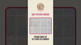 Healthy Lifestyle Better Fertility