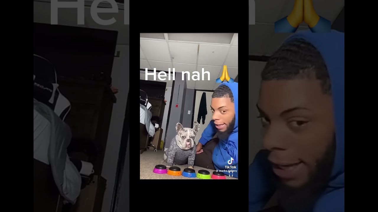Hell Nah Dog