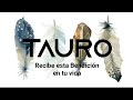 TAURO 🌟♉Que le dirás Ahora❤️ que te enteras de esto!!