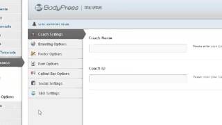 Theme Options Overview