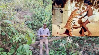 Tiger Boy । Chendru Mandavi । Indian Tarzan । चेंदरू मंडावी । Boy Who Had Tiger As Friend । Tiger