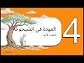 قصة الشجرة المعطاءة