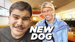 LARICAS DE SAO PAULO New Dog Hamburger