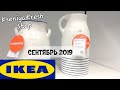 💕IKEA💕СЕНТЯБРЬСКИЕ НОВИНКИ ч.2🌼ГОРЫ ВОСХИТИТЕЛЬНЫХ ТОВАРОВ!ИКЕА 2019 БЕГОМ!ДЕКОР/Kseniya Kresh