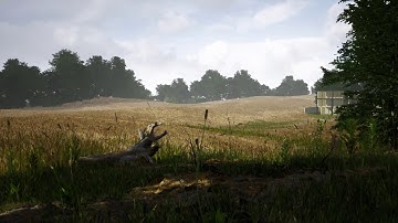 4K Wheat Field Archviz Scene in Unreal Engine 4