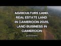 11 Hectares Of Land Available at Monde Village, SW Region Cameroon For Sale, Farm Land, Agriculture