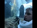Discovery cove sea venture plus wedding proposal