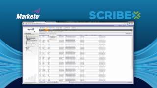 Integrate Marketo Data - Scribe Marketo Connector
