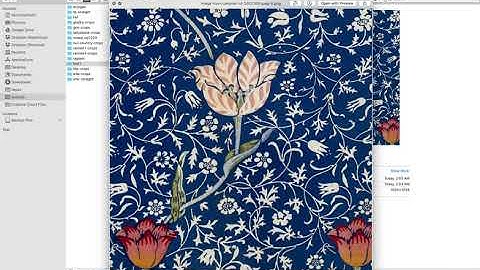 Randomized Multi-scale Cropping Using the dataset-tools Library