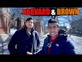 A day with harvard  brown alumni  campus tour