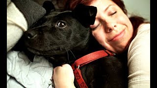 Top 10 Most Loving Dog Breeds