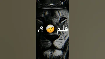 احنا اتربينا على الاحترام الشارع ابن حرام 