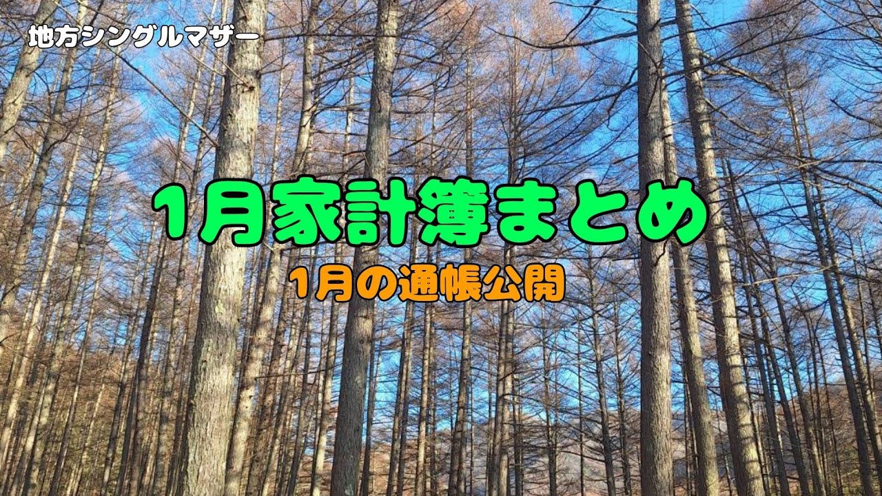 無職【地方シングルマザー】1月の家計簿/通帳残高