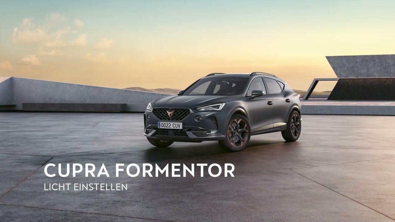 Cupra Formentor Licht Einstellen