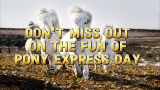 Galloping Through History: Celebrating the Enduring Spirit of the Pony Express