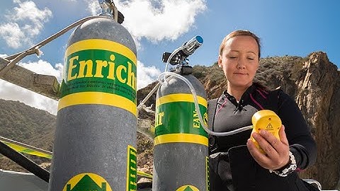 What is Nitrox? Free Enriched Air Nitrox Level 2 (40%) Class - July 2023