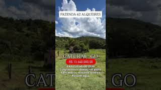 Fazenda em Caturaí - GO / whatsapp 62 99373-6407