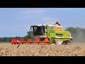 Claas Dominator 208 - Loonbedrijf Brasser & vd Sluis - tarwe pikdorsen