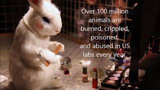 Cosmetic Animal testing