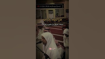 عمر الدريويز سورة المعارج