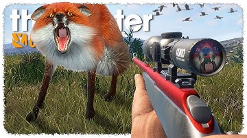 This Scotland Hunt Was PURE CHAOS (foxes everywhere) | theHunter CotW