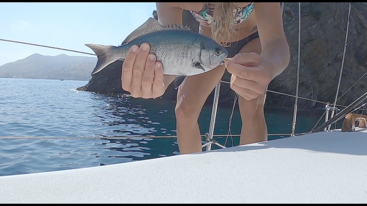 Deck Casting, Spearfishing & Cooking the Rewards…Catalina Feasting. Ep21.