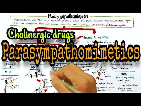 Cholinergic drugs | Parasympathomimetics classification and mechanism of action - Pharmacology