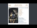 Miniature de la vidéo de la chanson Concerto For Two Trumpets And Strings In C Major, Rv 537: Iii. Allegro