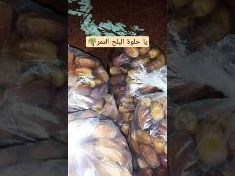 احلي بلح تمر تمر الوادي الجديد