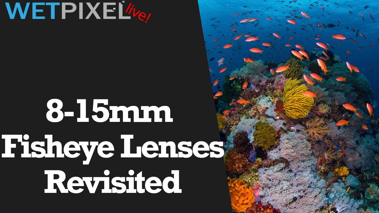 More Thoughts on 815mm Fisheye lenses for Underwater Photographers YouTube