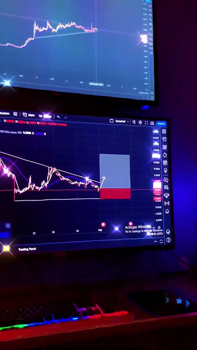 POV😌♥️ JOIN BLACK BULL SIGNAL#stockmarket #btc #trading #blackbull