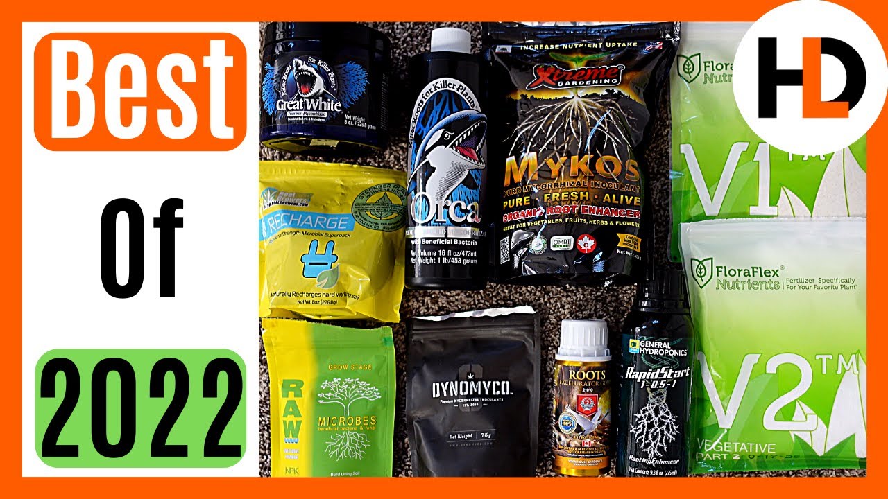 Выращивайте по-крупному: мои лучшие гидропонные находки 2022 года