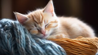 EXTREMELY Soothing Cat Therapy Music  Relax Your Cat! Cat Music