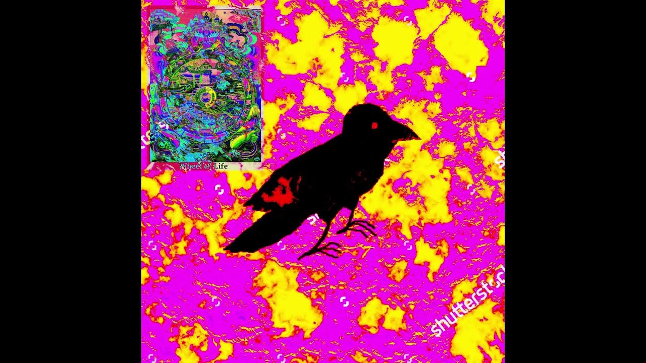 Girls Rituals - Black Crow Girls Rituals - Black Crow