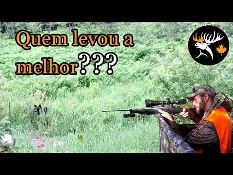 Vídeo: Carabina de caça 