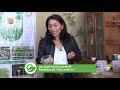 Programa: &quot;AGROINDUSTRIA INFÓRMATE Y EMPRENDE&quot; - ICA VERDE