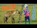 RAISI MAYIKU SAI 2026 HARUSI YA SHINJE Tala Makompyuta 5 8 0685561710 Official Audio 