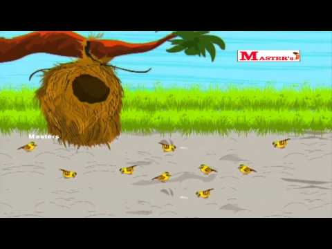 chittu-kuruvi---tamil-animation-video-for-kids