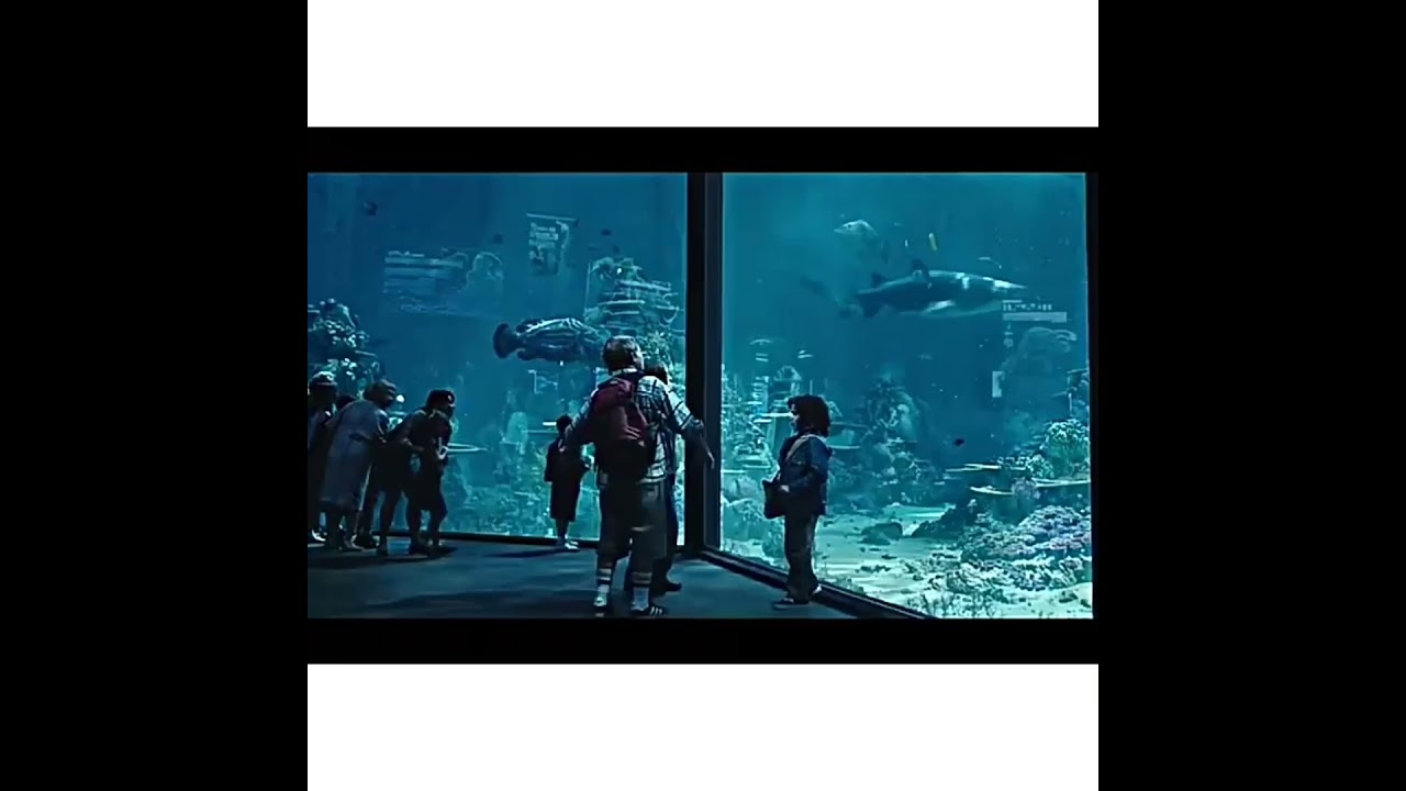 aquaman awesome Shark scene 🔥 😎 boys attitude 😎