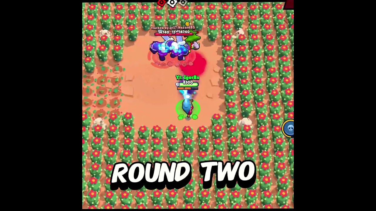 New rework shelly! ✅😃