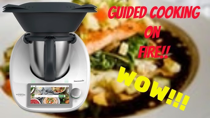 Testing Three Recipes on the Legendary $1,500 Thermomix — The Kitchen  Gadget Test Show 