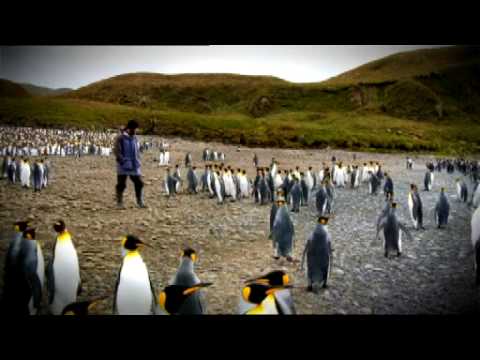 Sunday night trailer featuring Macquarie Island