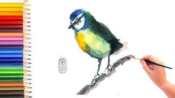 Learn how to paint bird using watercolor, video for kids to learn drawing and enjoy art, 儿童简笔画教程